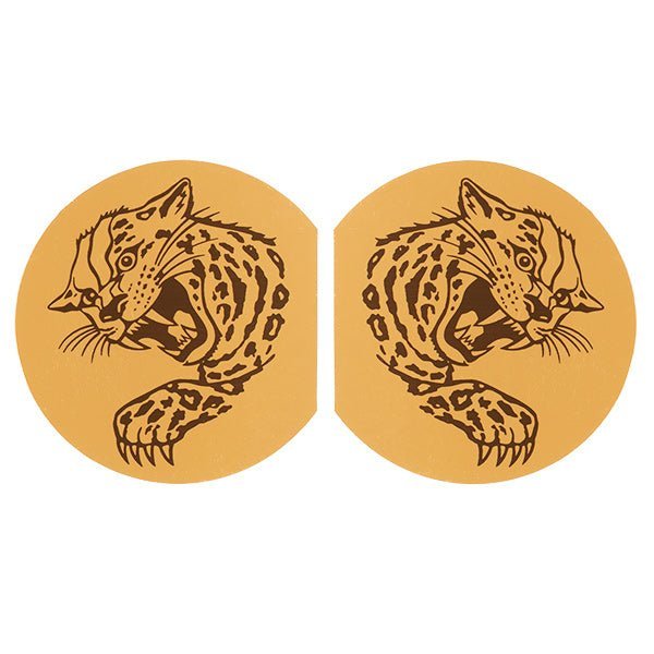 Jag Team Decal set - Old school bmx - Bmx Products AU