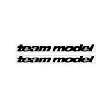 GT - 1990 TEAM MODEL - Black on Clear decals - Old school bmx - Bmx Products AU