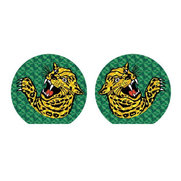 Jag Team Gusset decal set - Green - Old school bmx - Bmx Products AU